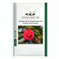 Camellia Flores Potted Plants Red Double Flowers - 5 PCS Seeds