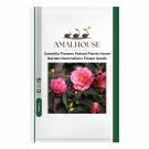 Camellia Flowers Potted Plants Home Garden Decorations Flower - 10 PCS Seeds
