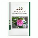 Camellia Flowers Light Pink Colors - 10 PCS Seeds