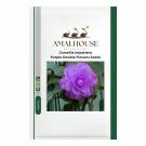 Camellia impatiens Purple Double Flowers - 50 PCS Seeds