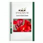 Canna Edulis - 5 PCS Seeds
