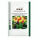 Canna Lily Flore Outdoor Indoor Mixed Flowers - 200 PCS Seeds