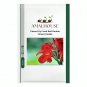 Canna Lily Fresh Red Double Flowers - 200 PCS Seeds