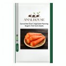 Carrot Red Giant Vegetable Planting Organic Heirloom - 3200 PCS Seeds