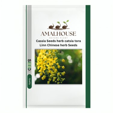 Cassia herb catsia tora Linn Chinese herb - 20 PCS Seeds