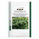 Cat Mint Aromaticpotted Plants Catnip Flores Heirloom Spearmint Herb - 200 PCS Seeds