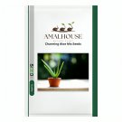 Charming Aloe Mix - 50 PCS Seeds