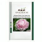 Chinese Peony Tree Light Pink Double Flowers Ball Type - 10 PCS Seeds