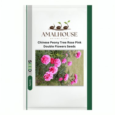 Chinese Peony Tree Rose Pink Double Flowers - 10 PCS Seeds