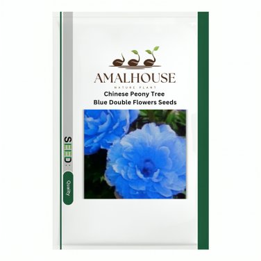 Chinese Peony Tree Blue Double Flowers - 10 PCS Seeds