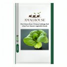 Choi Green Stem Chinese Cabbage Bok choy Four Season vegetable - 2000 PCS Seeds