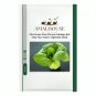 Choi Green Stem Chinese Cabbage Bok choy Four Season vegetable - 2000 PCS Seeds