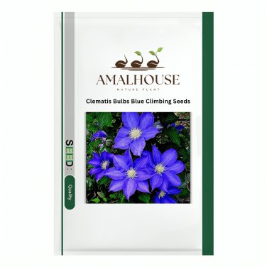 Clematis Bulbs Blue Climbing - 2 PCS Seeds