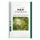 Clematis Goldenish Green Color - 100 PCS Seeds