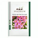 Clematis Light Khaki Color - 100 PCS Seeds