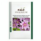 Clematis Montana Mayleen Garden Pink Vine Flowers Plant - 100 PCS Seeds