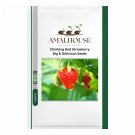 Climbing Red Strawberry Big & Delicious - 300 PCS Seeds