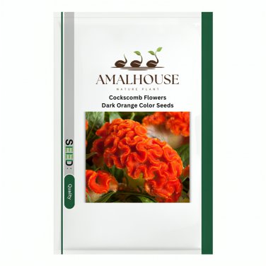 Cockscomb Flowers Dark Orange Color - 300 PCS Seeds