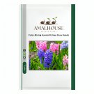 Color Mixing Hyacinth Easy Grow - 1 PCS Seeds