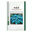 Colorful Hosta Flores Bonsai - 200 PCS Seeds