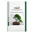 Colorful Japanese Juniper - 100 PCS Seeds