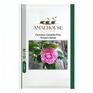 Common Camellia Pink Flowers - 50 PCS Seeds