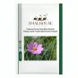 Cosmos Flower Acid Blue Double Flowers with Purple-Black Centre - 100 PCS Seeds