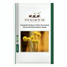 Craspedia Globosa Yellow Drumstick Perennial Billy Buttons - 100 PCS Seeds