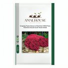 Creeping Thyme Bonsai or Blue Rock CRESS Plant Perennial Ground Cover Flower - 500 PCS Seeds