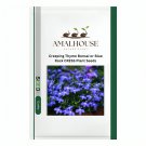 Creeping Thyme Bonsai or Blue Rock CRESS Plant - 100 PCS Seeds