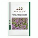 Creeping Thyme Bonsai,Rare Color Rock CRESS Plant Perennial - 300 PCS Seeds