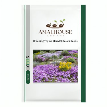 Creeping Thyme Mixed 9 Colors - 300 PCS Seeds