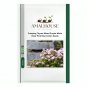 Creeping Thyme Mixed Purple White Rose-Pink Blue Colors - 100 PCS Seeds