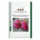 Creeping Thyme Rock CRESS Ground Cover Flower Rose Red Color - 100 PCS Seeds