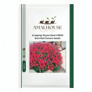Creeping Thyme Rock CRESS Ground Cover Flower Rose Red Color 100 PCS Seeds