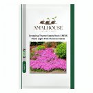 Creeping Thyme Rock CRESS Plant Light Pink Flowers - 200 PCS Seeds