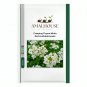 Creeping Thyme White Red Available - 100 PCS Seeds