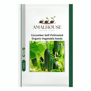 Cucumber Self-Pollinated Organic Vegetable - 70 PCS Seeds
