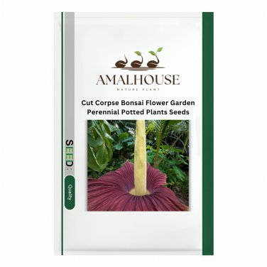 Cut Corpse Bonsai Flower Garden Perennial Potted Plants - 100 PCS Seeds