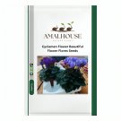 Cyclamen Flower,Beautiful Flower Flores - 100 PCS Seeds