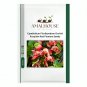 Cymbidium Floribundum Orchid Purplish Red Flowers - 100 PCS Seeds