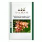 Cymbidium Floribundum Orchid Redish Brown Flowers - 100 PCS Seeds