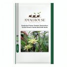 Dendrobe Seeds (Flower Powder) Dendrobium Orchid Flowers Herba Dendrobii - 1 PCS Seeds