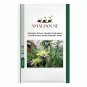 Dendrobe Seeds (Flower Powder) Dendrobium Orchid Flowers Herba Dendrobii - 1 PCS Seeds