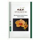 Dendrobium Orchid Flower Bonsai - 100 PCS Seeds