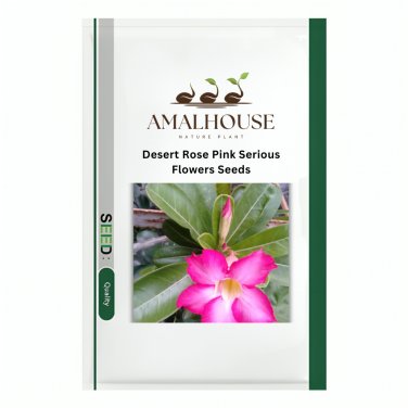 Desert Rose Pink Serious Flowers - 2 PCS Seeds