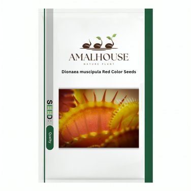 Dionaea muscipula Red Color - 100 PCS Seeds
