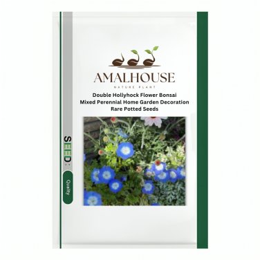 Double Hollyhock Flower Mixed Perennial Home Garden Decoration Rare Potted - 100 PCS Seeds