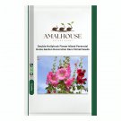 Double Hollyhock Flower Mixed Perennial Home Garden Decoration Rare Potted - 100 PCS Seeds
