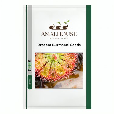 Drosera Burmanni - 100 PCS Seeds
